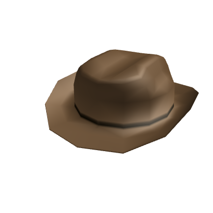 Brown Cowboy Hat