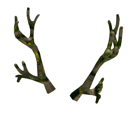 Wanwood Antlers