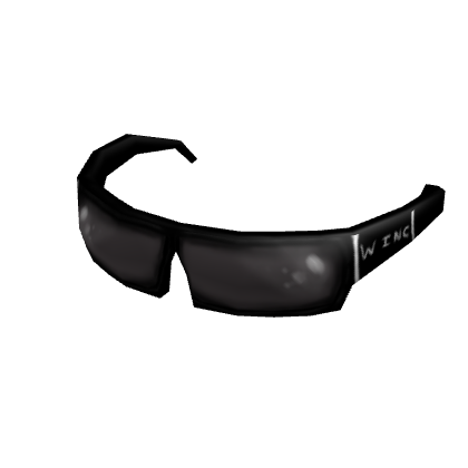 W Inc. Designer Sunglasses
