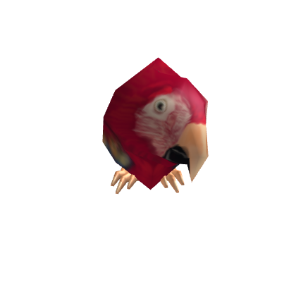 Pirate Parrot