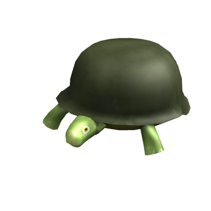 General Turtle