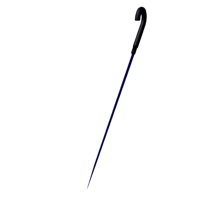 Sword Cane