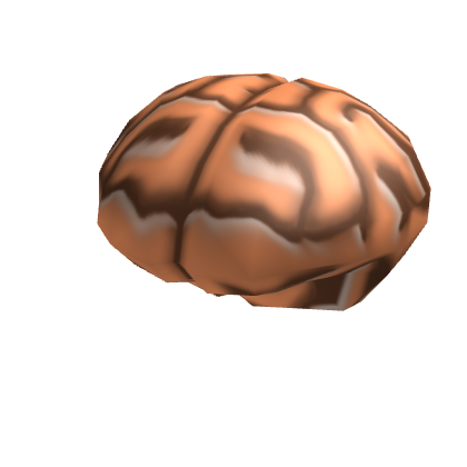 Brain