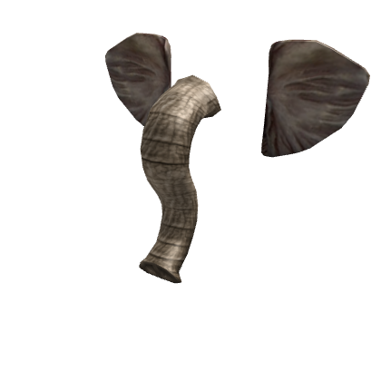 Elephant Accoutrements