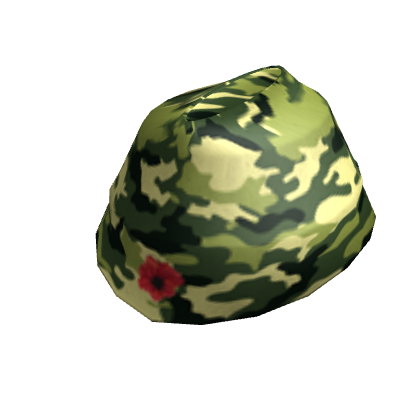 Veteran's Day Cap