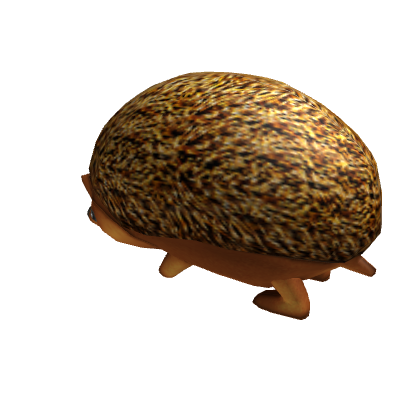 Hedgehog Friend