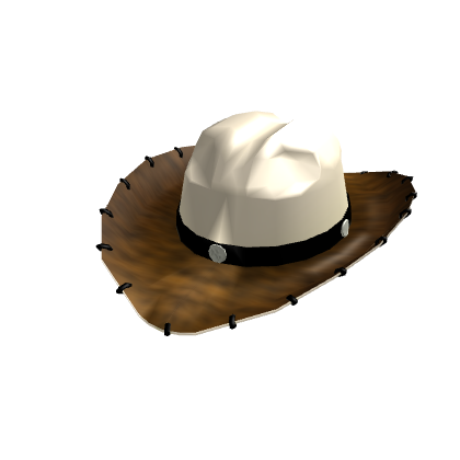 Dude Ranch Cowboy Hat