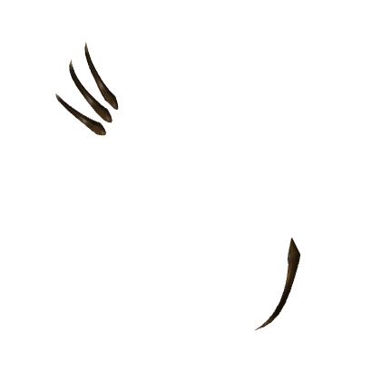 Beast Claws