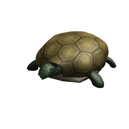 Turtle Shoulder Friend