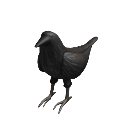 Shoulder Crow