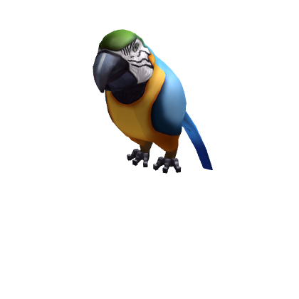 Macaw Shoulder Friend