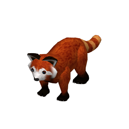 Red Panda