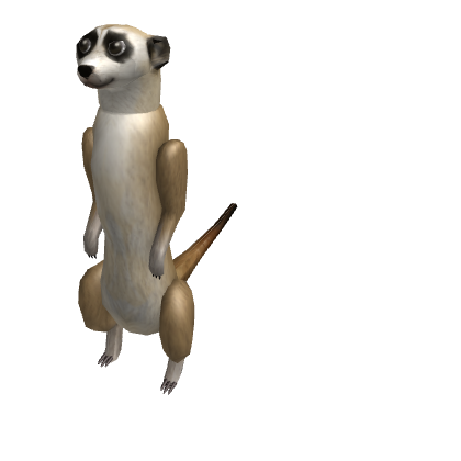 Meerkat Horde