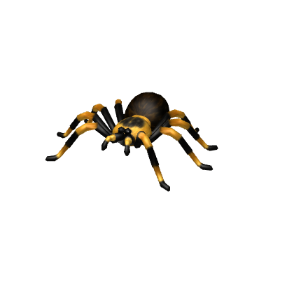 Tarantula Pet