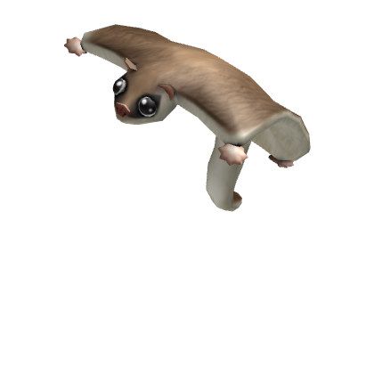 Flying Squirrel Friend