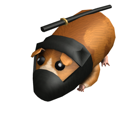 Ninja Guinea Pig