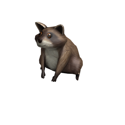 Friendly Raccoon