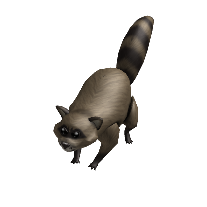 Attack Raccoon