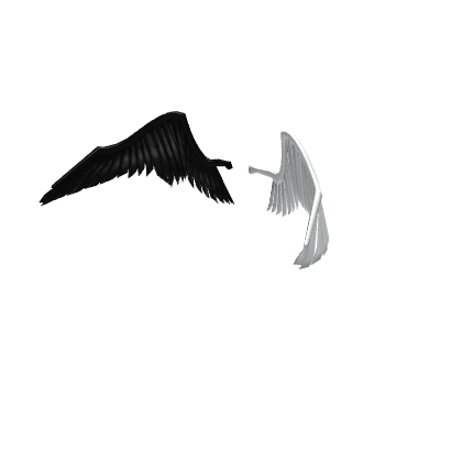 Wings of Duality