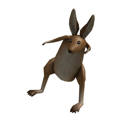 Shoulder Kangaroo