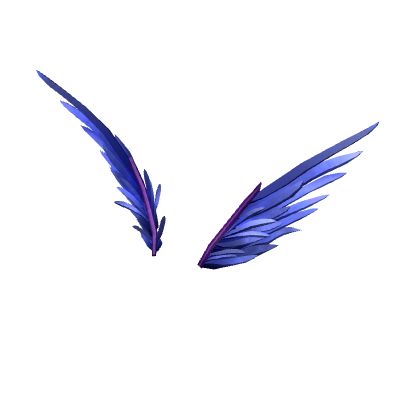 Interstellar Wings