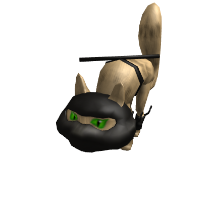 DarkAge Ninjas: Ninja Kitteh